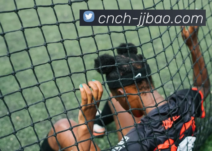 竞技宝亚洲电竞平台生态图